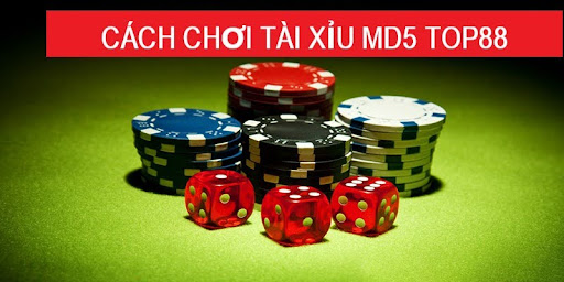 Cách Chơi Tài Xỉu MD5 Top88 Hiệu Quả